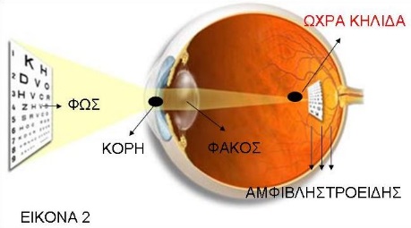 Η λειτουργία του οφθαλμού